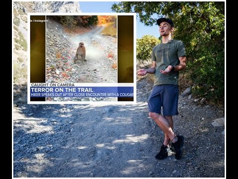 Cougar Stalks, Charges Utah hiker for 6 terrifying minutes