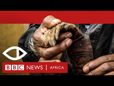 Malawi's Human Harvest - BBC Africa Eye documentary