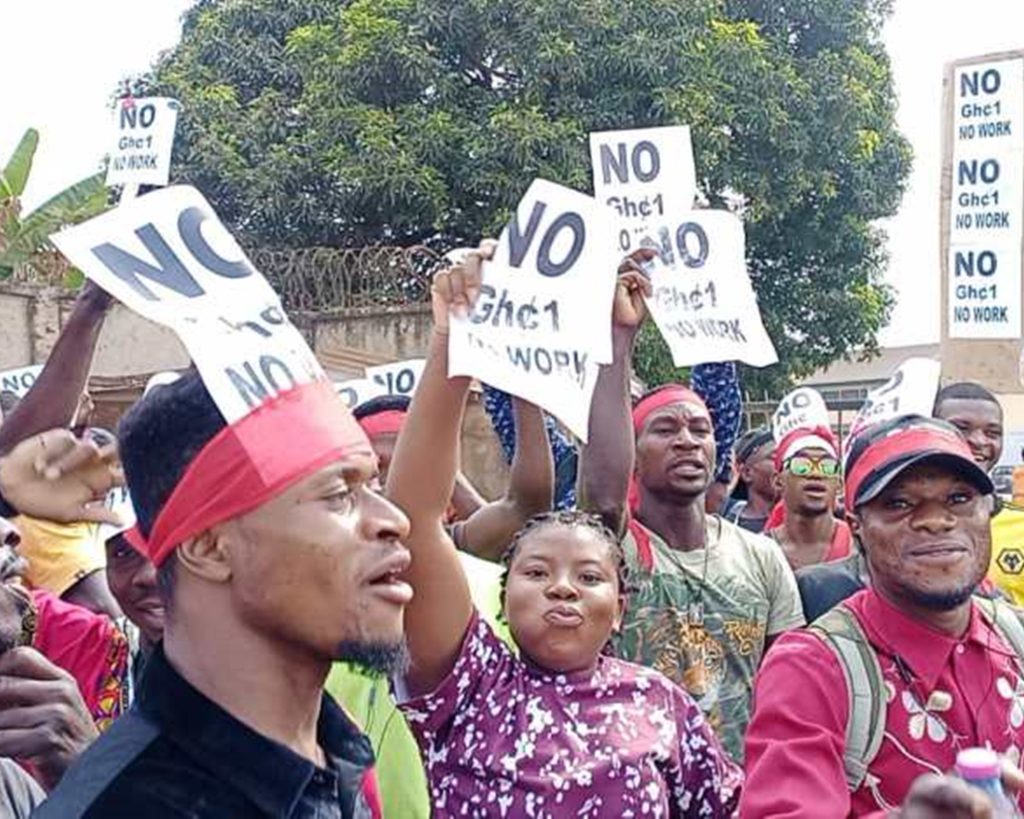 Tonnes of cocoa beans left to rot as carriers strike — Netbuzz Africa