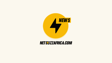 Netbuzz Africa Logo