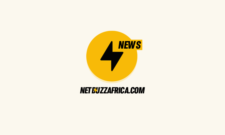 Netbuzz Africa Logo