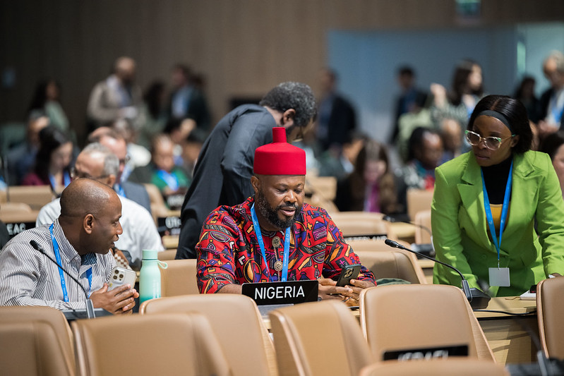 Nigeria leaders at COP29 climate conference discussing renewable energy