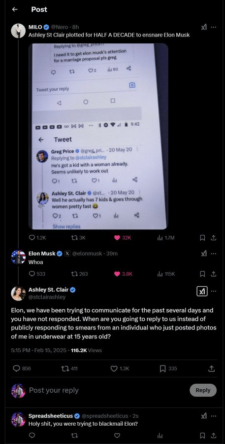 Elon Musk’s Response to St. Clair’s Baby Claim Sparks Controversy Online